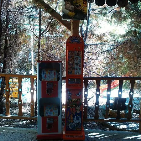 Nimpha Kamchia (Varna)