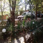 Nimpha كامشيا