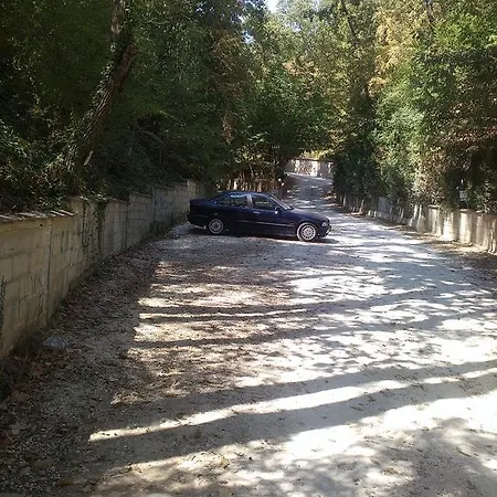 Nimpha
