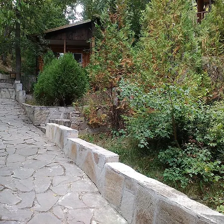 Nimpha קמיצ'יה