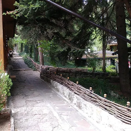 Nimpha * Kamczija